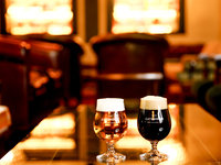 [DINNER] After-party plan <All-you-can-drink included>