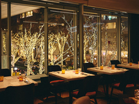 【2025 George’s Dinner IlluminationCourse（窓側確約）】お一人様10,000円
