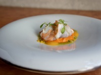 Seasonal Special Course (8 dishes + Zebra Striping) From December 27th