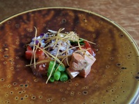 Seasonal Special Course (8 dishes + Zebra Striping)