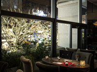 【表参道イルミネーション2025】早割！ケヤキ並木イルミネーション一望！料理長厳選コース　乾杯モエシャンドン付き　全5品