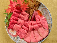 【今日は焼肉だけセット】今日はお肉の日！そんな日に楽しめるセットをご用意いたしました。厳選焼肉12枚ご用意！塩とタレの味付け比率はお選び頂けます。＊写真は2名様分です。