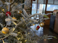 12月限定【シーズナルパーティプラン：Xmas】ゆったり2.5時間飲み放題付き