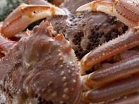 【期間限定】 ズワイ蟹と松阪牛ロース 特別コース