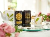 【オプションメニュー】ティーセレクト（マリアージュフレール社 紅茶 飲み放題）