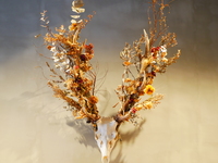 クリスマススペシャルコース　ランチ