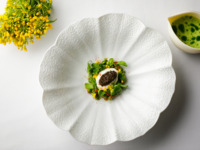 【ディナーコース 3皿】前菜+メイン+デザート