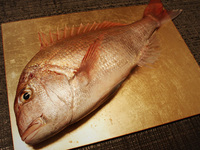 19800円コース（1名様）