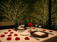 Illumination dinner (with a glass of champagne)