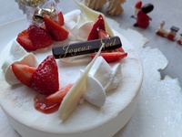 ノエルショートストロベリー4号サイズ