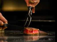 Allamanda 20周年庆典：花鸟风月