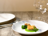 【忘新年パーティープラン】 フリードリンク付き（1/1～）