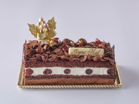 フォレノワール　16.5cm×8.5cm 高さ6cm