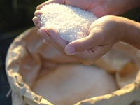 [壽司]山田農場×月之桂×伏見野壽司水木合作活動