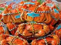 アラカルトと上海蟹のセットメニュー　※土日ランチのみ