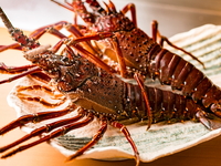 伊勢海老の鉄板焼き+神戸ビーフステーキ