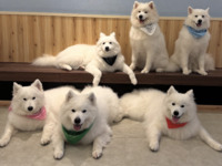 ≪冬休み期間 ≫通常チケット（50分）