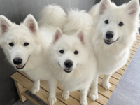 <Winter Holiday Period> Regular ticket (50 minutes)