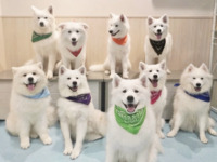 ≪冬休み期間 ≫通常チケット（50分）