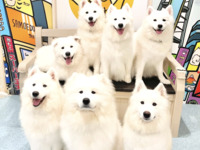 ≪冬休み期間 ≫通常チケット（50分）