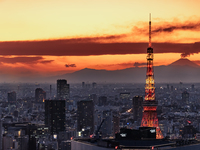 2025sunset Xmas course＋テーブル席でのプラン(16:00スタート限定)￥22,000→￥19,800