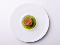 【Dinner】Menu Dégustation