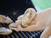 【牡蠣小屋メニュー】波有手のカキ１㎏