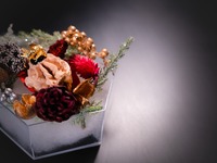 [★Christmas Limited★] Special Course with Champagne Toast