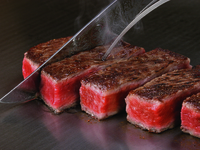 うかい特選牛ランチコース【12月～厳選牛フィレ】