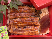 [Takeout] Unaju Ume (1/2 eel)
