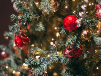 [Limited to 12/24-25] "Northern Italian Winter" Premium Semi-Buffet with a choice of main course