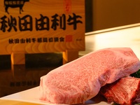 【12月～2月限定】料理長特選ディナーコース「由利牛」