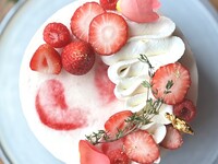 2025 Noel フロマージュフレーズ 5号サイズ(5～7名様用)