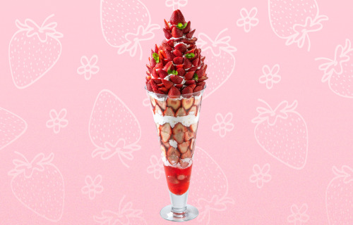 いちごの里】お食事のお席 - Restaurant Guide - TableCheck