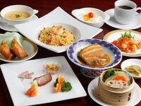 【12月22日～】 牡丹