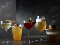 The SG Club Cocktail 120min Free Flow