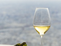 Lunch course Scenery 