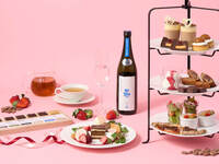 【빠른 할인：1월】초콜릿 애프터눈 티 vol.9