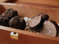 Fresh Black Truffes Course 9品　コース料金25,000円＋黒トリュフ（市場価格）