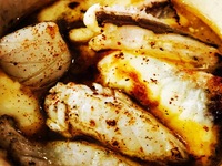 【2026.1月9日~】 18:30 瀬戸内ナポリ料理/魚介とパスタをたっぷりのコース¥15000(別途サービス料※予約時間の5分前までにご来店くださいませ。