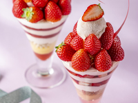 【3/1～4/30】Strings Parfait Duo 