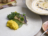 【土日祝日ランチ】新玉葱の冷製ポタージュや柑橘と抹茶のティラミスなど全４品コース PATH