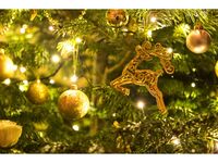 【12/20～25日限定！クリスマスコース】飲み放題付き！