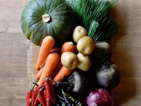 《御予約限定》ベジタリアンコース: アミューズ、パン、冷前菜、パスタ、メイン、デザートの6品 