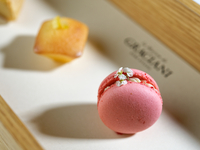 (Lunch) ~ Menu du Jour ~