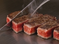 うかい厳選牛ディナーコース【NewS.フィレ】 