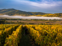 3月24日 ワインメーカーズディナー【ドメーヌオステルタグ】