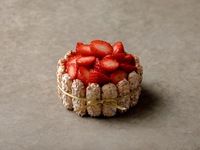 Charlotte aux Fraises (About 12cm)