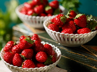 ≪土日祝≫スイーツビュッフェ『苺の森のアトリエ』小人（5歳～小学生）