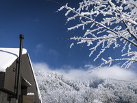 ENNU おまかせランチコース